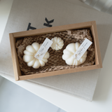 Coffret Petites Citrouilles - cire de soja